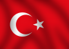 New car market in Turkey: 2012 data